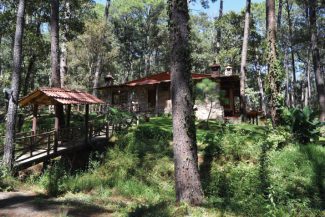 A rustic cabin with a red roof sits among tall trees in a lush green forest. A small wooden bridge with a covered roof, designed based on a topographic survey, leads to the cabin, surrounded by sunlight and natural vegetation.