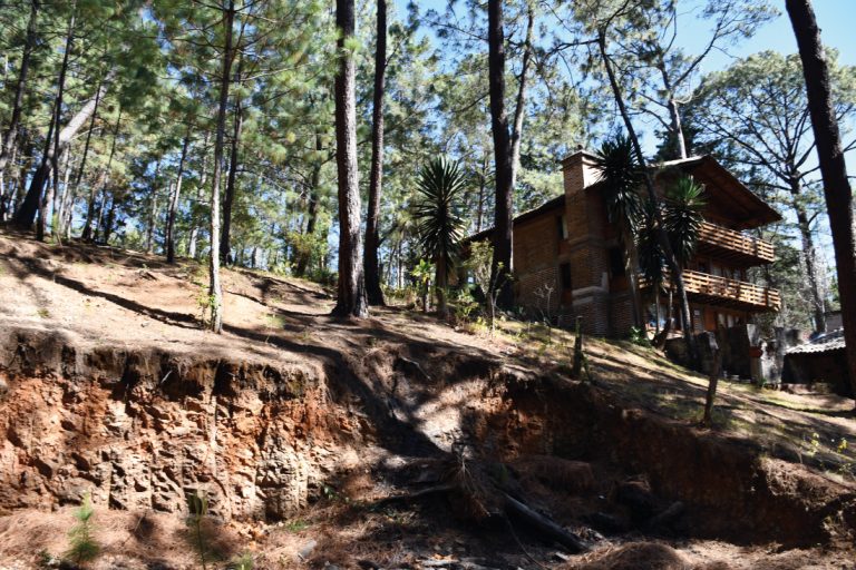 A log cabin sits among tall pines on a sunlit hillside with exposed reddish soil, where a recent topographic survey highlights the gentle slope and peaceful forest setting
