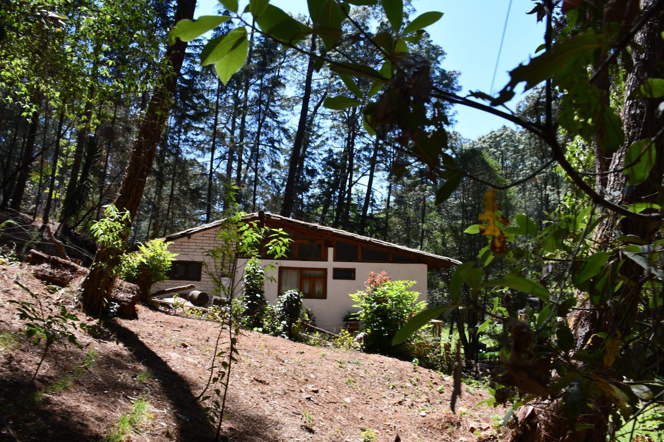 Digital photography of a small white house with brown details in the forest