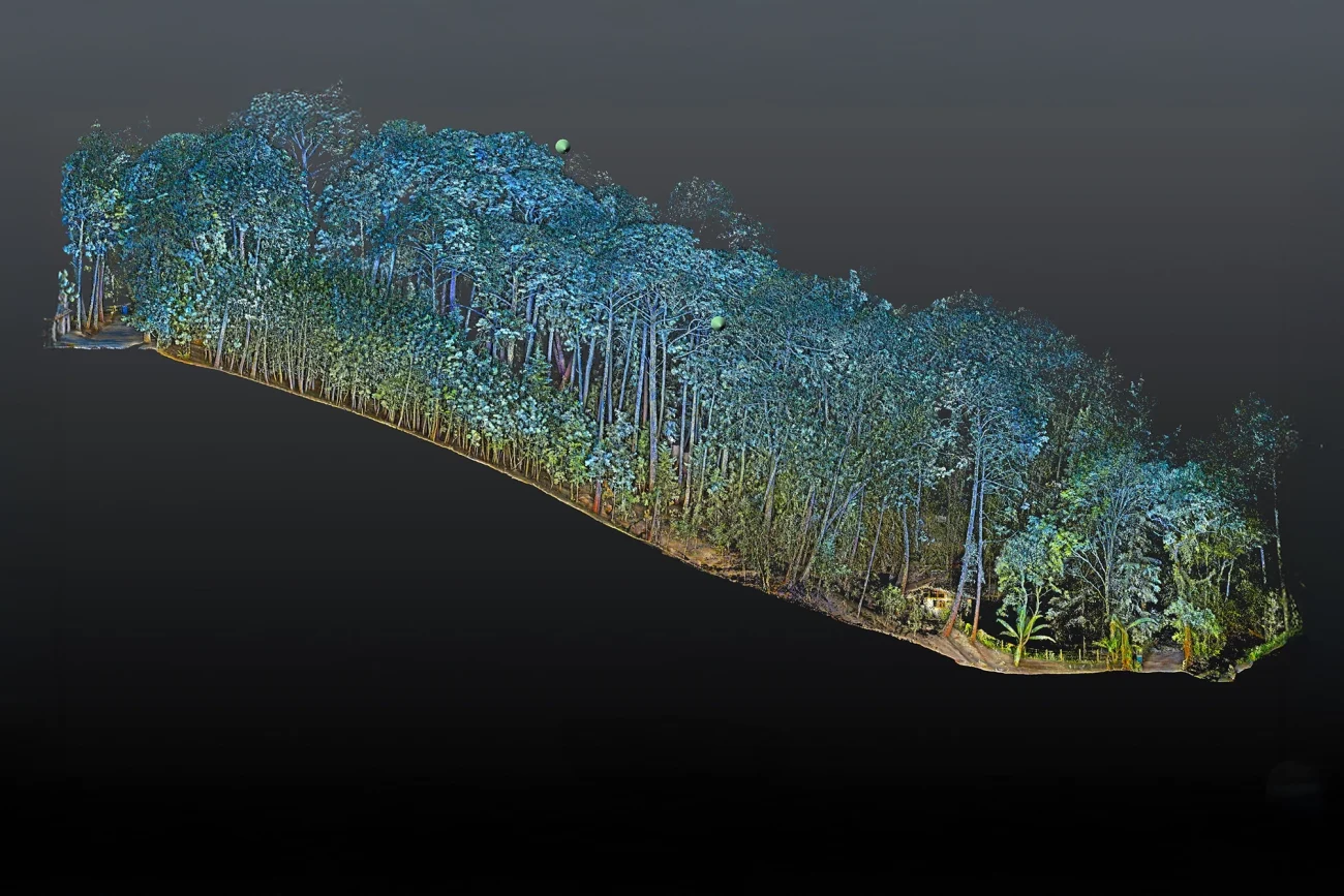 A 3D digital rendering of a dense forest area, showing tall trees with blue and green hues against a dark, gradient background, evokes the precision of a topographic survey by highlighting the length and depth of the forest from an aerial perspective.
