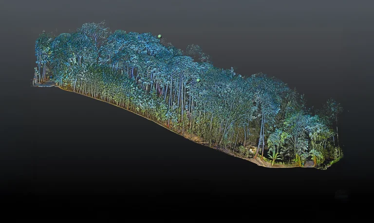 A 3D digital rendering of a dense forest area, showing tall trees with blue and green hues against a dark, gradient background, evokes the precision of a topographic survey by highlighting the length and depth of the forest from an aerial perspective