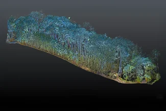Un escaneo digital 3D de un Levantamiento Topográfico revela una zona boscosa densa con árboles altos, follaje exuberante y vegetación variada, todo sobre un fondo oscuro y degradado.