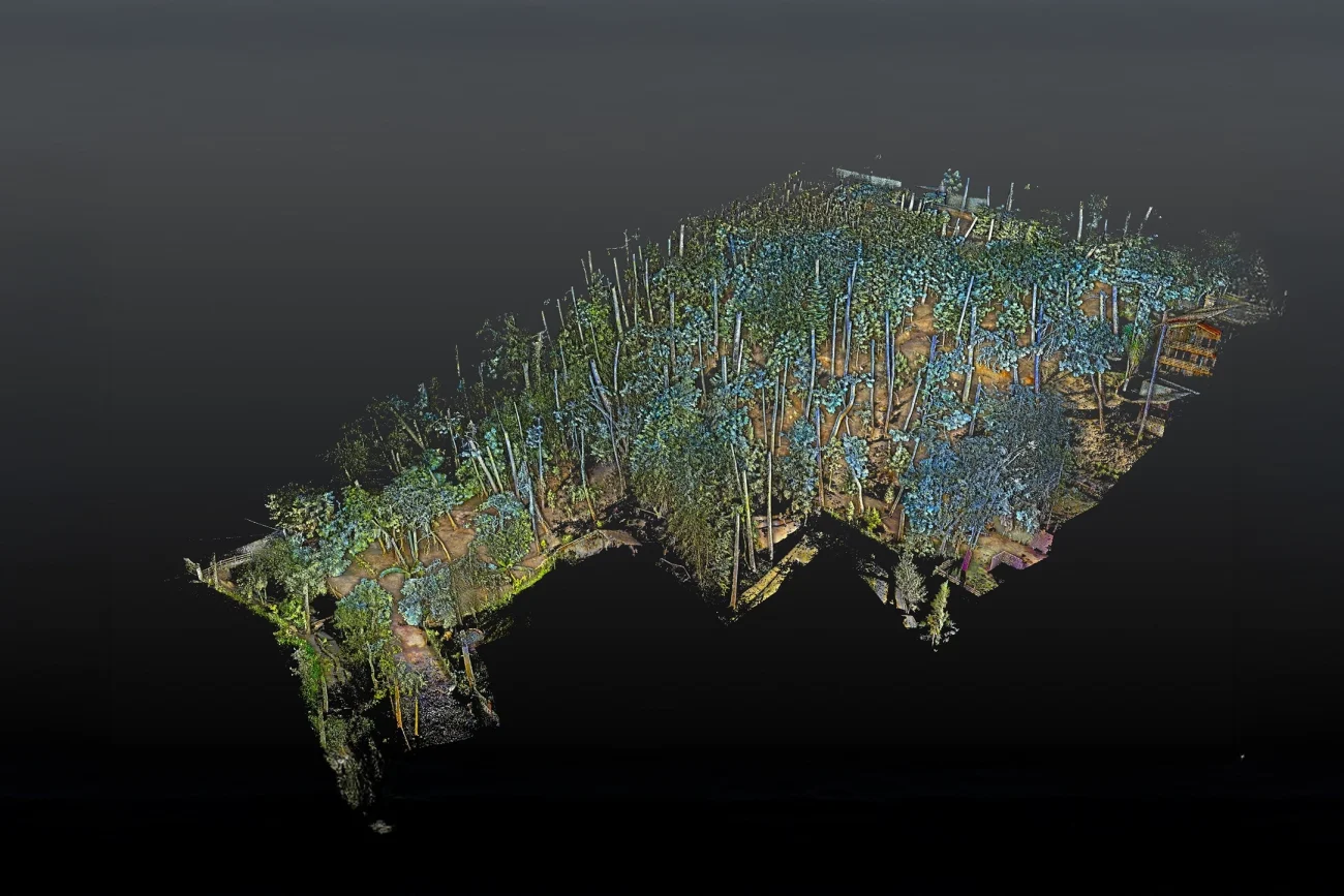 A 3D point cloud representation of a topographic survey shows a dense forest with tall trees in shades of blue, green, and brown, against a dark background.