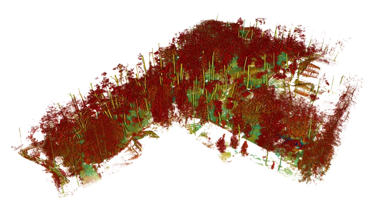 Visualization of a 3D point cloud of a forested area, created from a topographic survey, showing trees in red and green hues on a white background to illustrate vegetation structure and density
