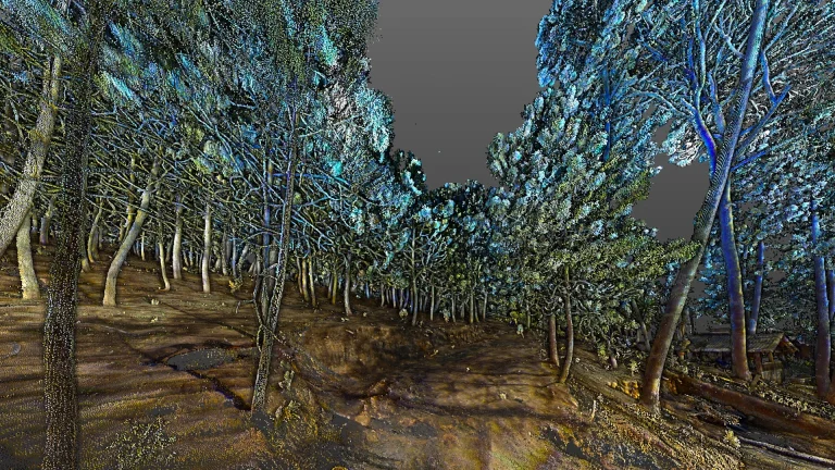 A digital rendering of a forest with tall trees, illuminated in shades of blue and green, resembles a topographical survey. The uneven brown ground and gray sky give it a surreal, almost holographic feel