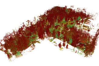 Una visualización de nube de puntos 3D de un Levantamiento Topográfico de un paisaje boscoso muestra las posiciones y alturas de los árboles en rojo, verde y amarillo, con escasos detalles de vegetación sobre un fondo blanco.