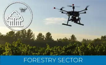 A drone equipped with a laser scanner for construction flies above a lush, green forest at sunset, with a forestry icon in the corner. The text at the bottom reads “Forestry Sector.”.