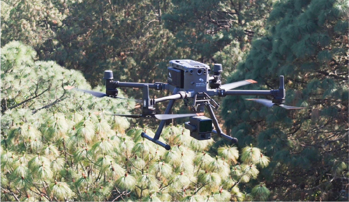 Un dron en el aire sobre una zona boscosa, con sus múltiples rotores fijos, mientras capta los densos pinos verdes que hay debajo con su cámara montada.