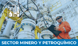Engineer in orange protective clothing and helmet inspects industrial pipes and machinery. Overlay icon shows chemical and mining symbols. Text at bottom reads SECTOR MINERO Y PETROQUÍMICO.