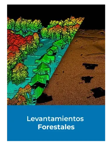 Escaneado LiDAR 3D coloreado de una zona boscosa con casas, con transición a un escaneado de terreno desnudo a la derecha; debajo se lee Levantamientos Forestales sobre fondo azul.